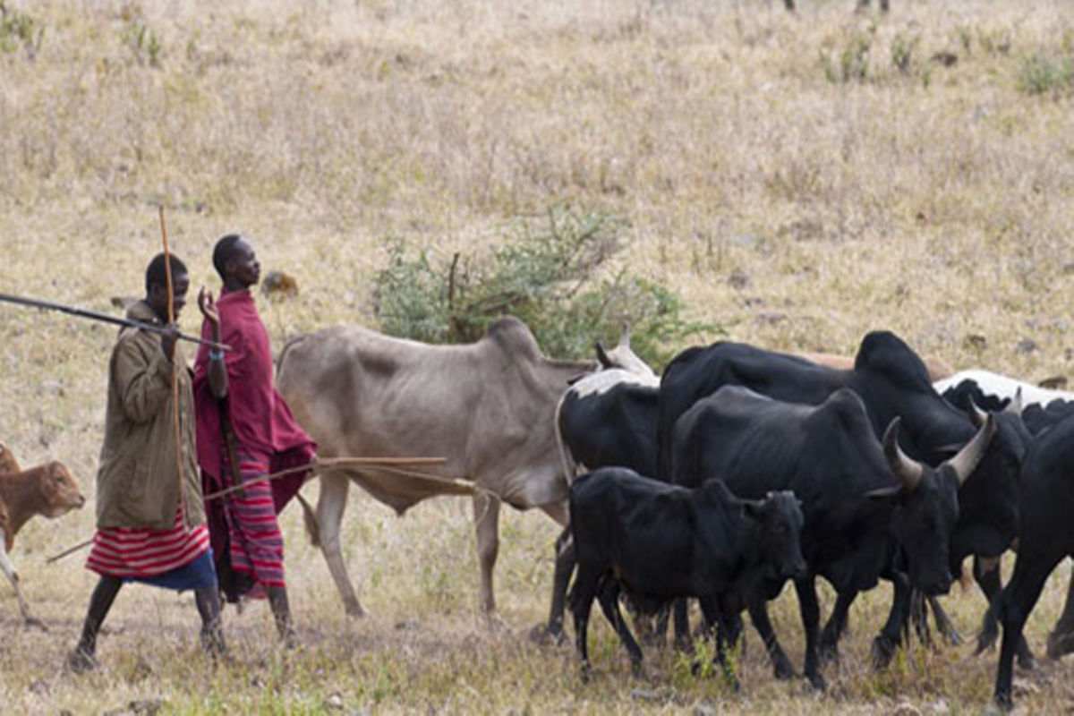 Stakeholders Meeting Set To End Farmer Herder Conflicts The Citizen