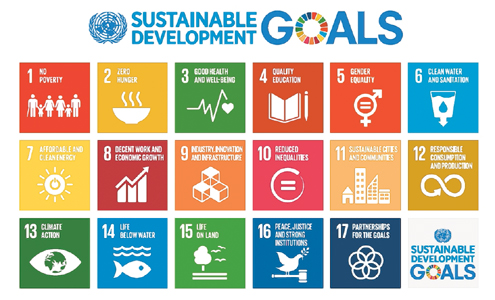 Can SDGs achieve what MDGs failed to attain? - The Citizen