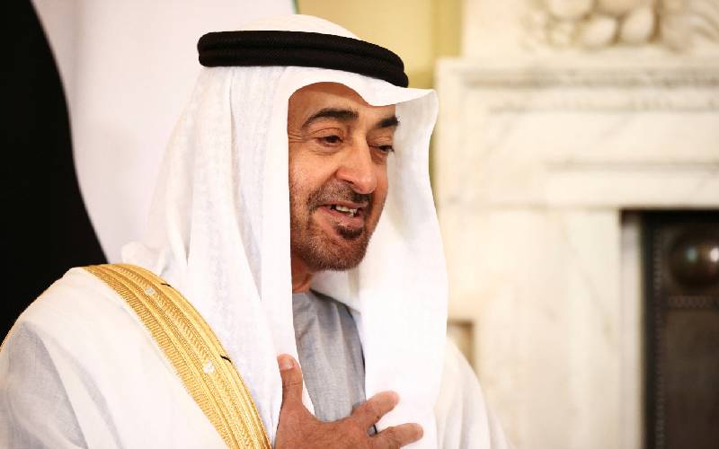 Sheikh Mohamed bin Zayed elected UAE president after brother's death ...