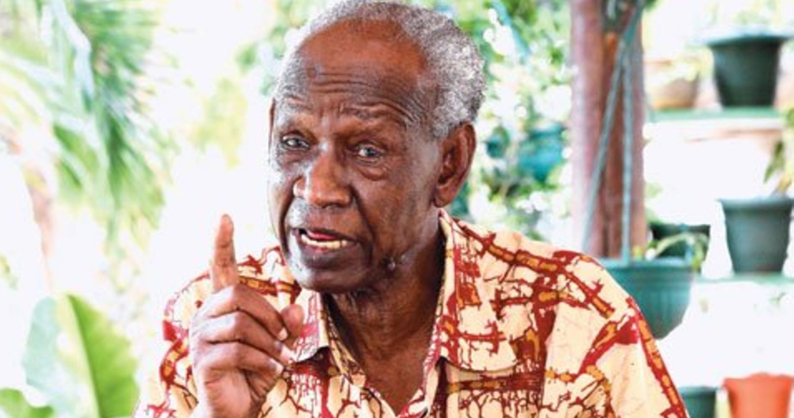 warioba-pic