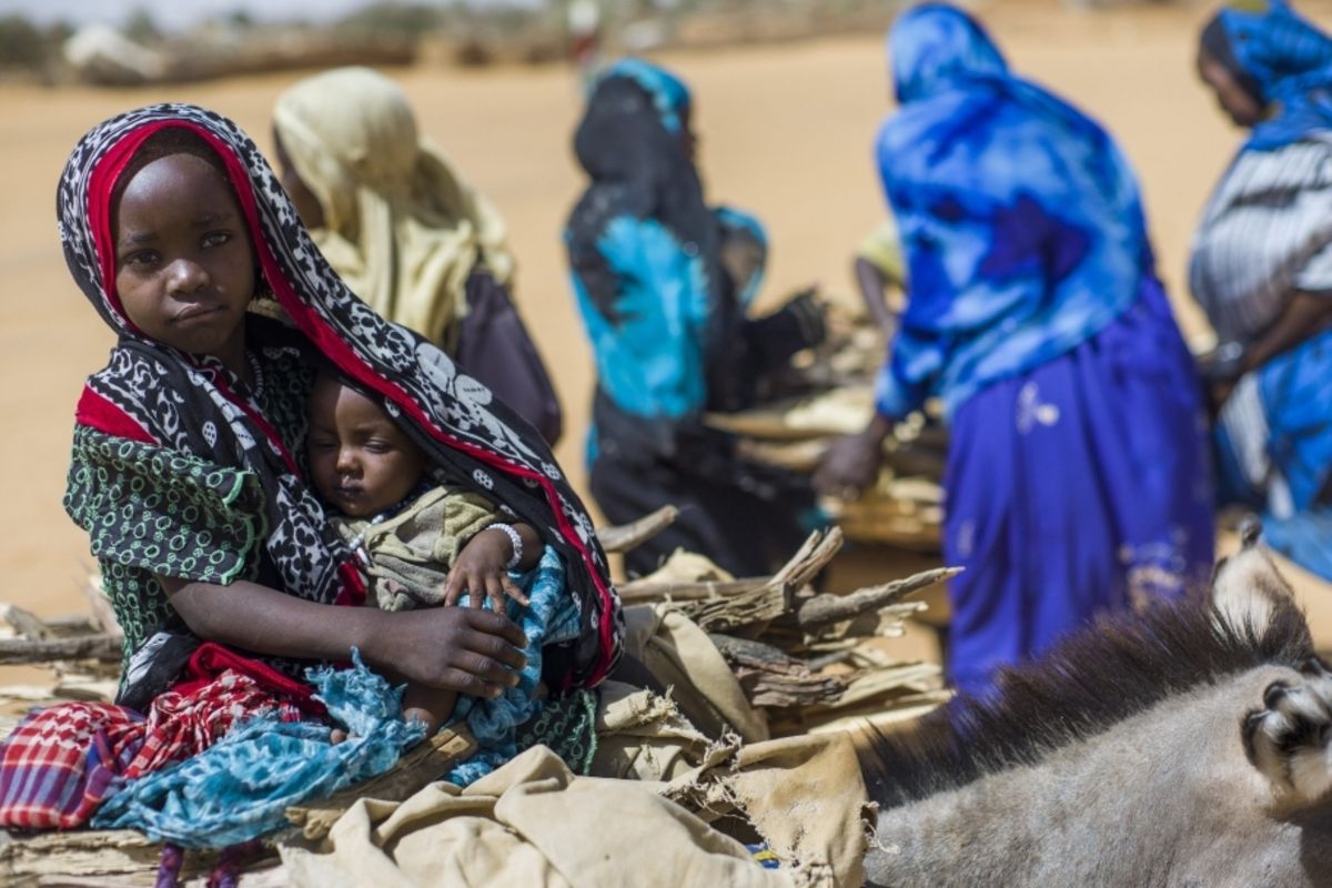 Refugees in Chad must adapt or starve | The Citizen