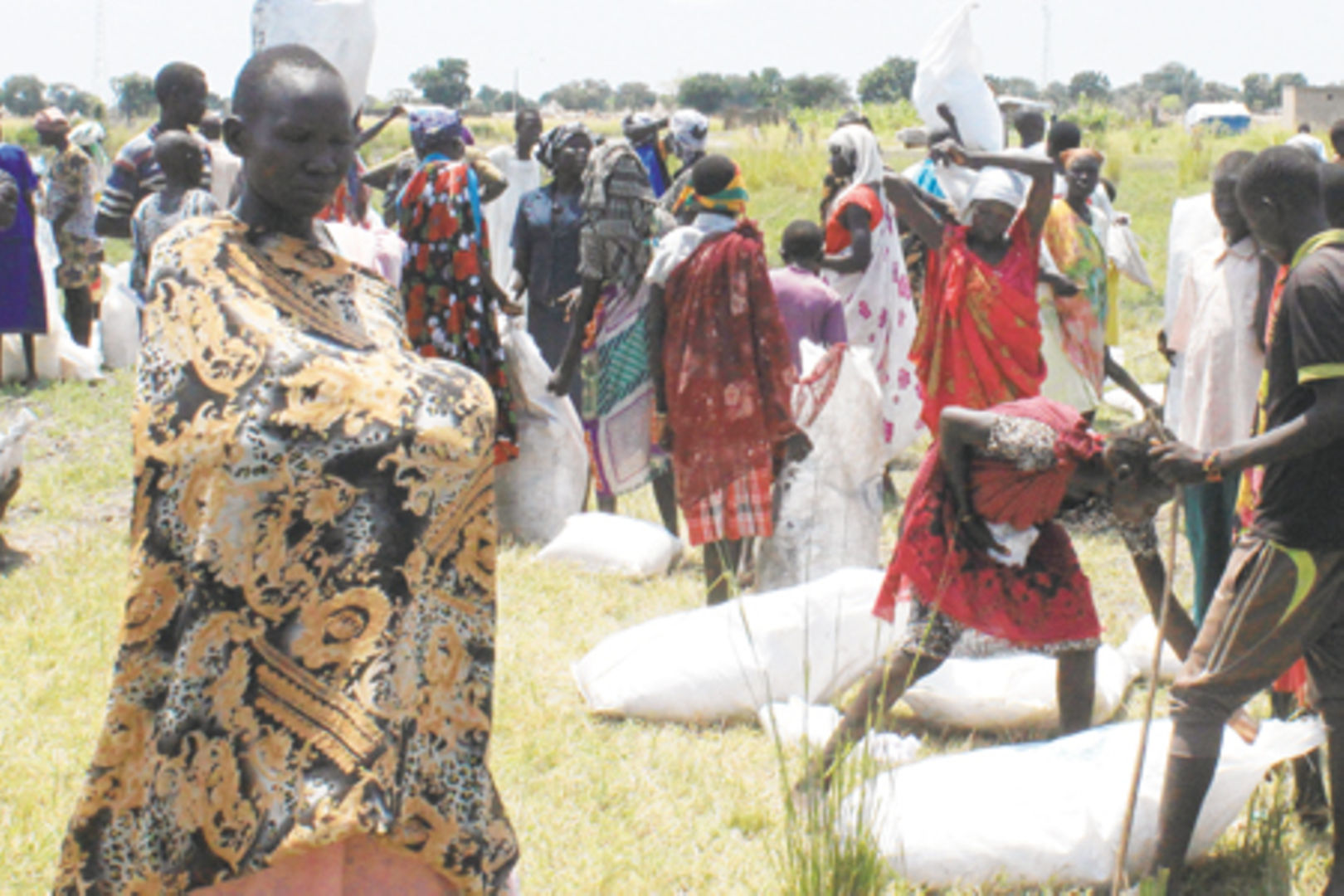 UN warns of S. Sudan food crisis The Citizen