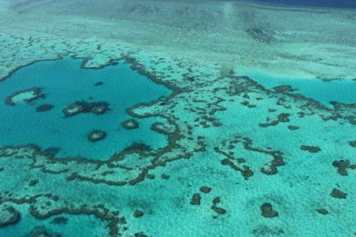 Scientists find huge ancient landslide on Great Barrier Reef | The Citizen