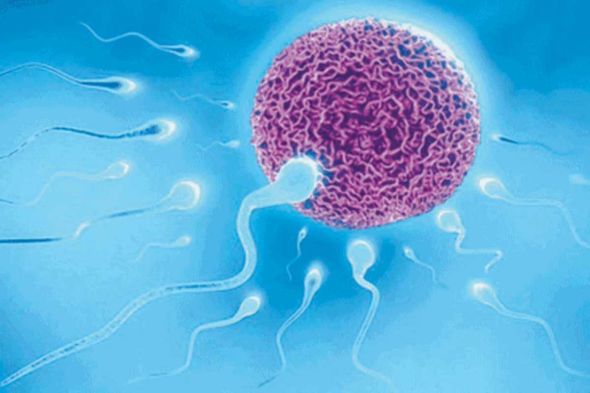 Male fertility crisis – what environmental contaminants have got to do ...