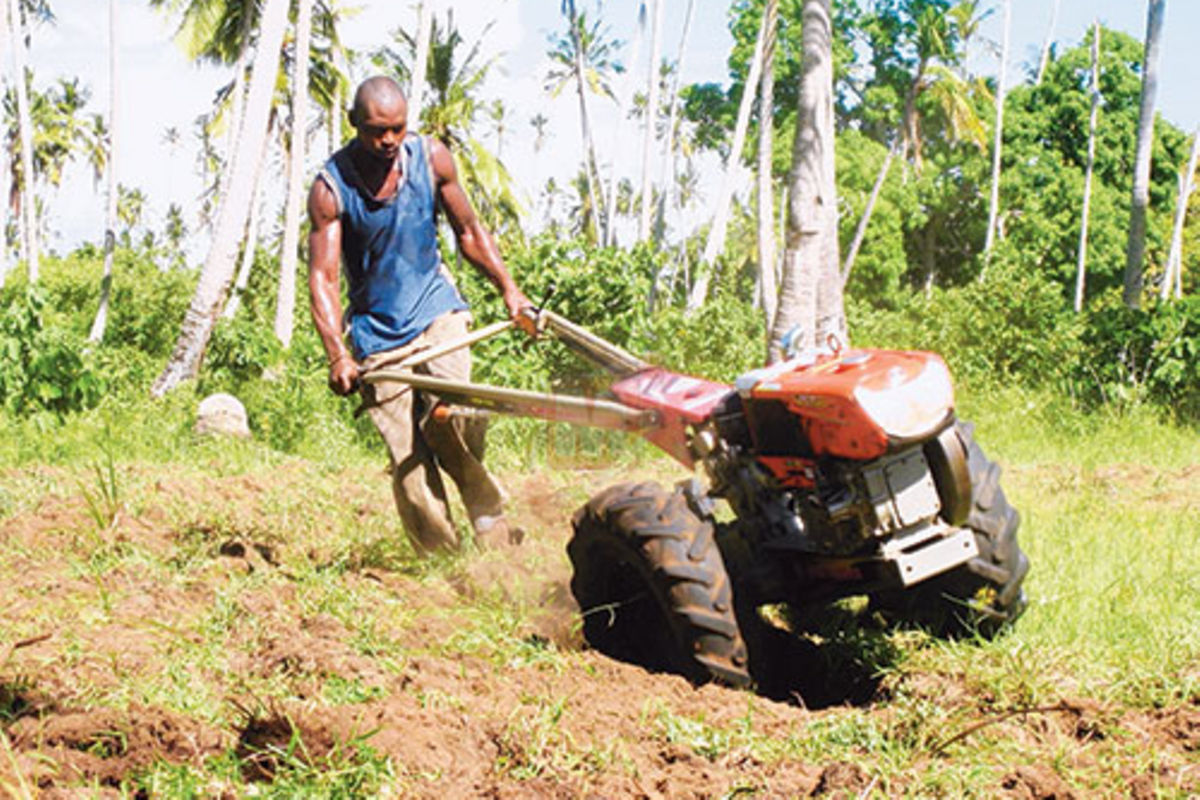 Tanzania's fresh drive to unlock farming potential | The Citizen