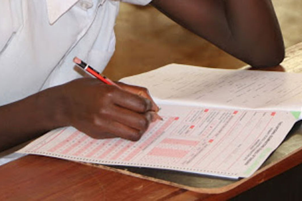 Standard 7 results reopens the language debate The Citizen