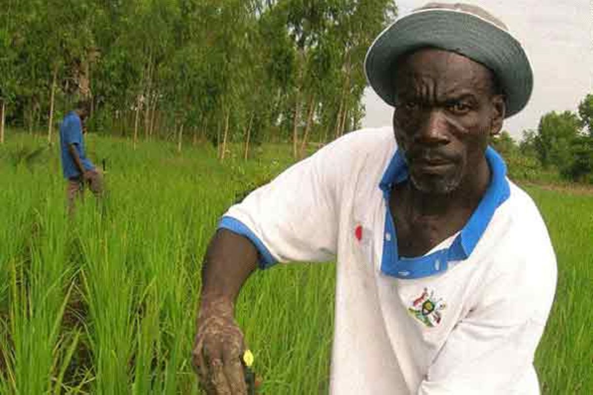 How Uganda's use of farm machines feed Kenya | The Citizen