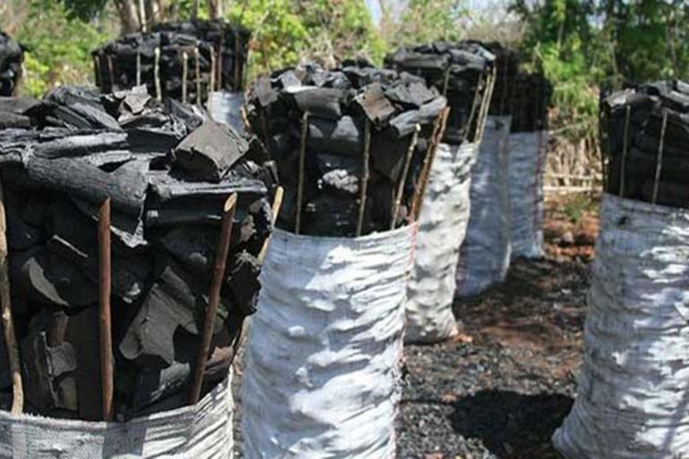 Why sustainable charcoal production is key to forest conservation - The ...