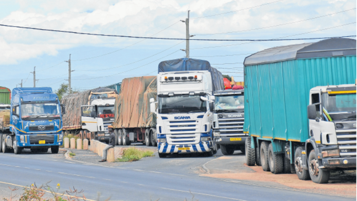 The plight of Tanzanian truck drivers stuck at Namanga border - The Citizen