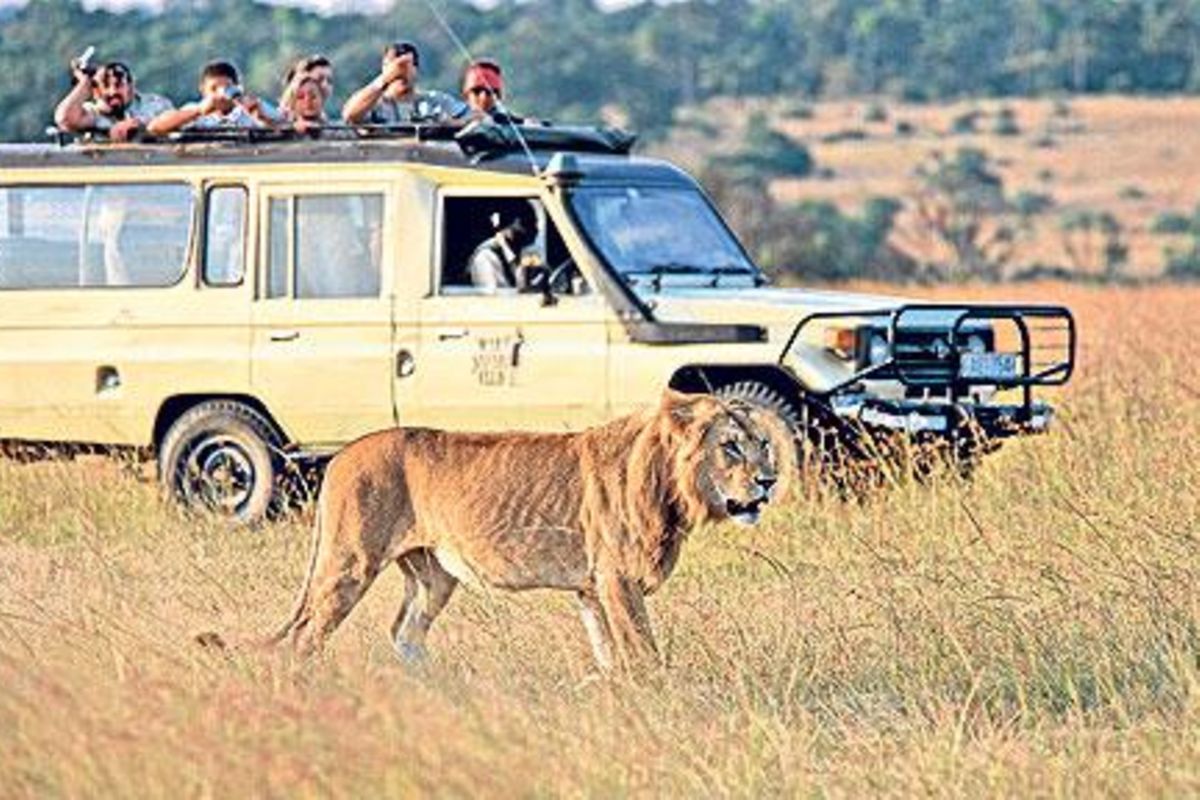 Why Tanzania- Kenya travel feud worries tourism players | The Citizen