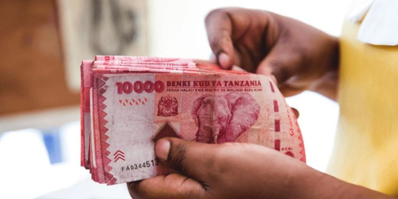 Tanzanians In The Diaspora Remit Sh2.5 Trillion In 2022 | The Citizen