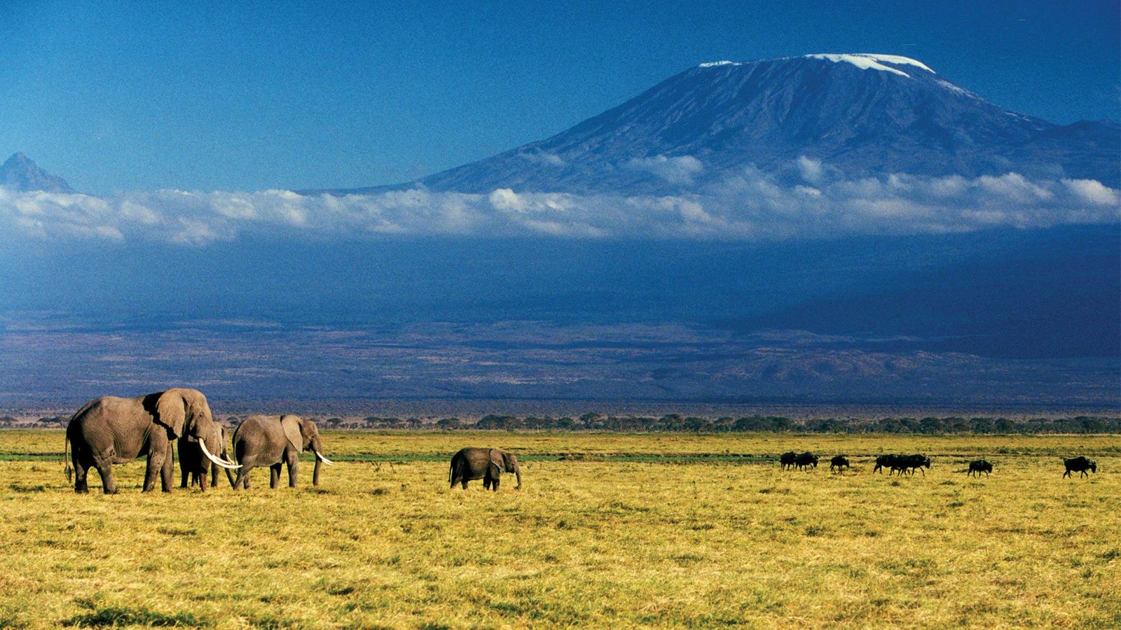 Summit of Kilimanjaro HD wallpaper