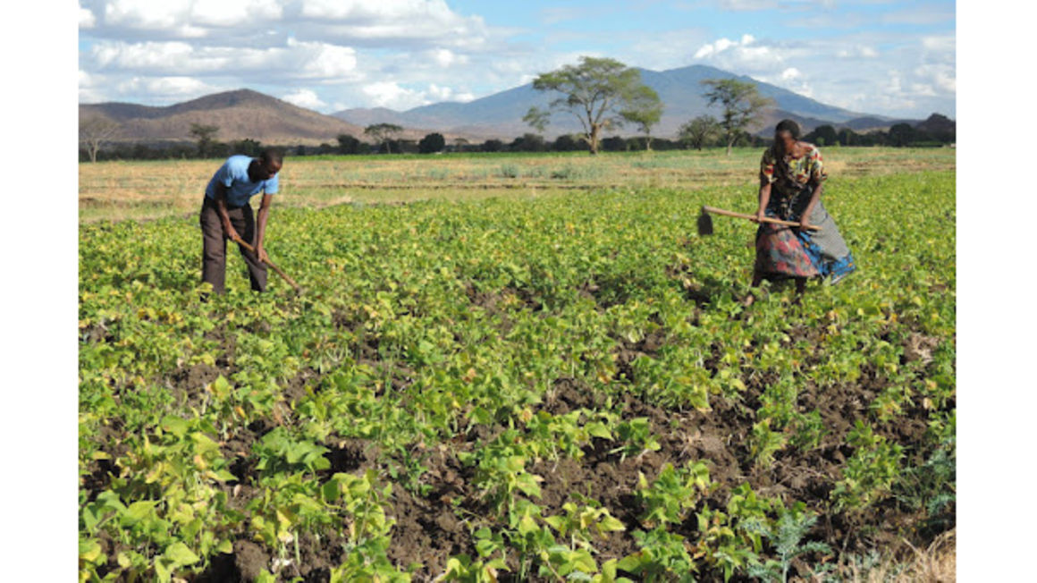 Agriculture pic