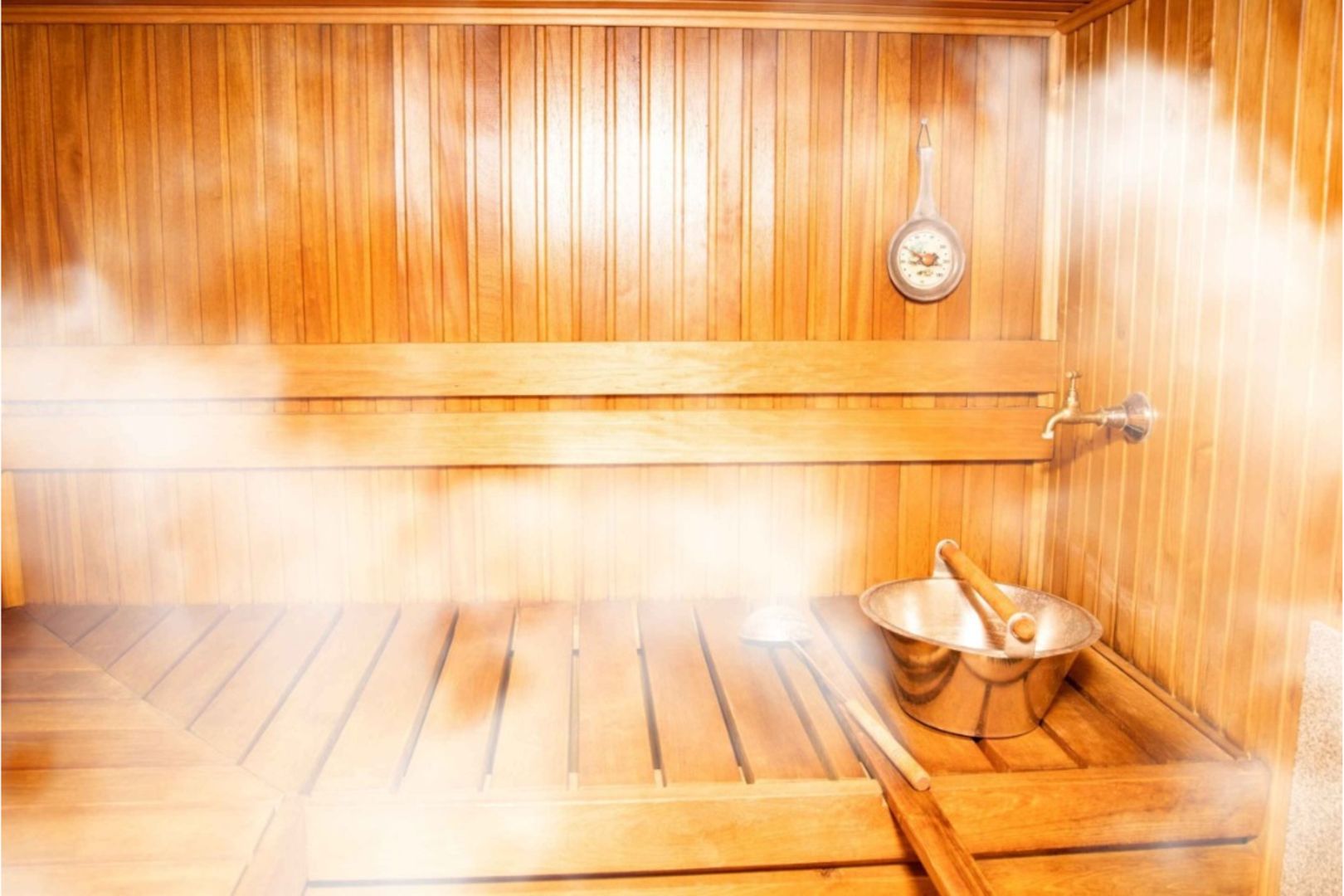 A lively sauna chat about losing our animalistic side | The Citizen