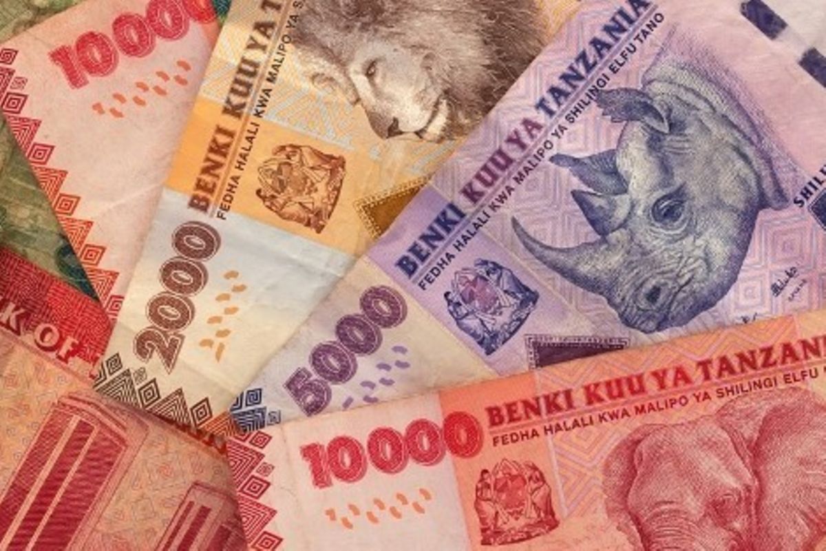 Tanzania Shilling stable in 2022 amid shocks 