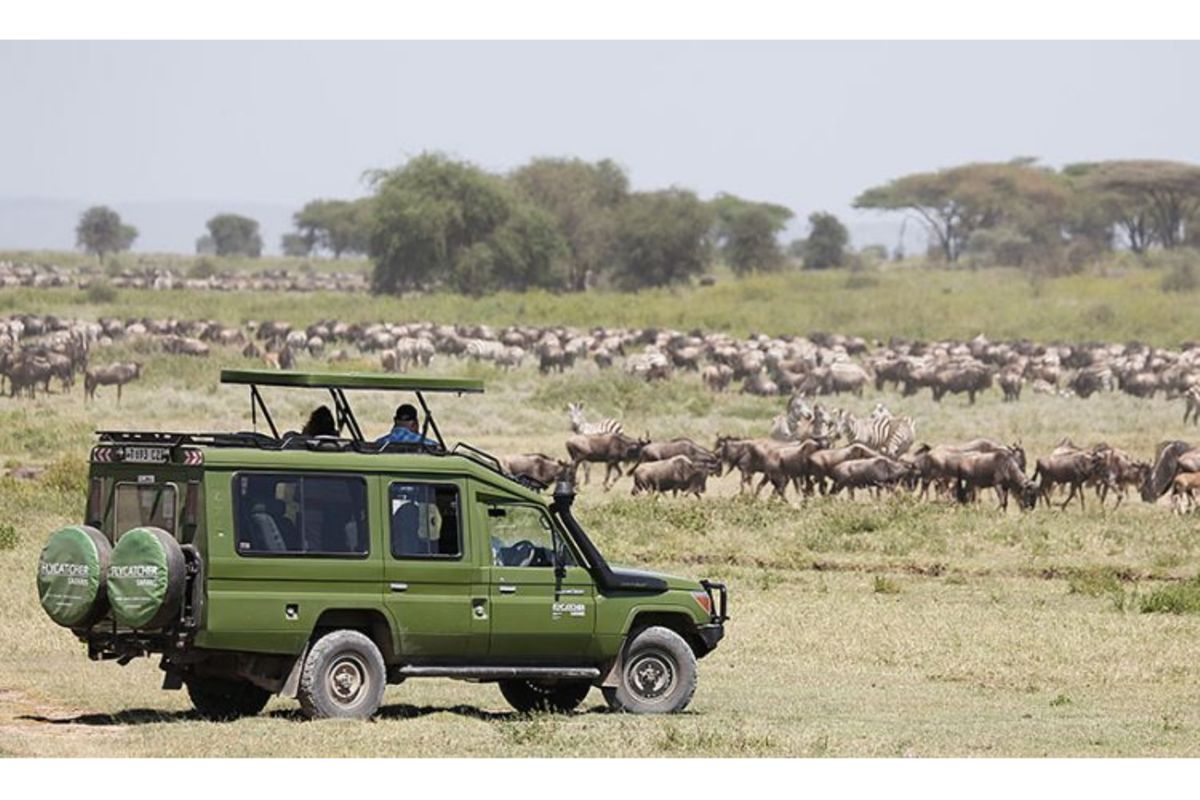 Tanzania Tourism board's failure to promote and market destinations ...