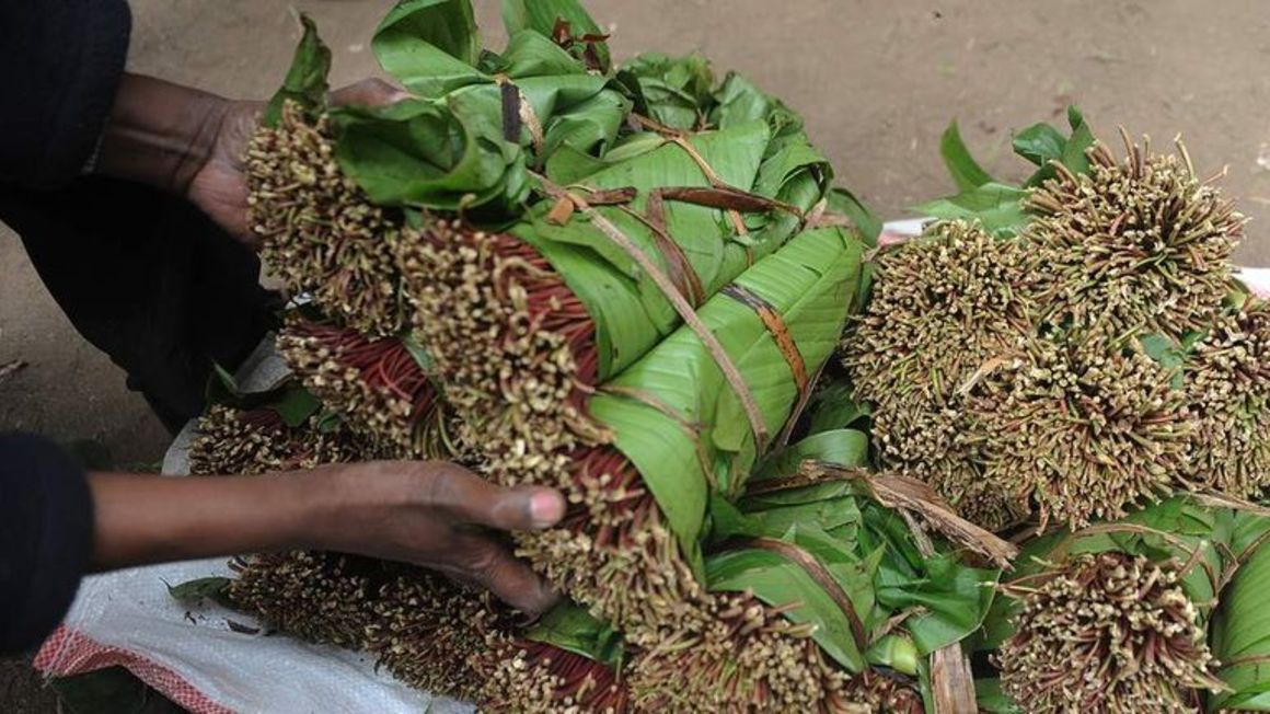 khat PIC