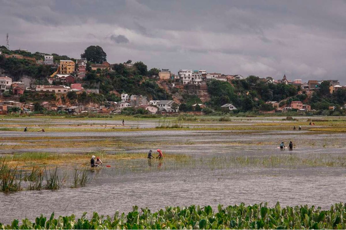 Cyclone Batsirai Weakens After Hitting Madagascar, Floods Feared | The ...