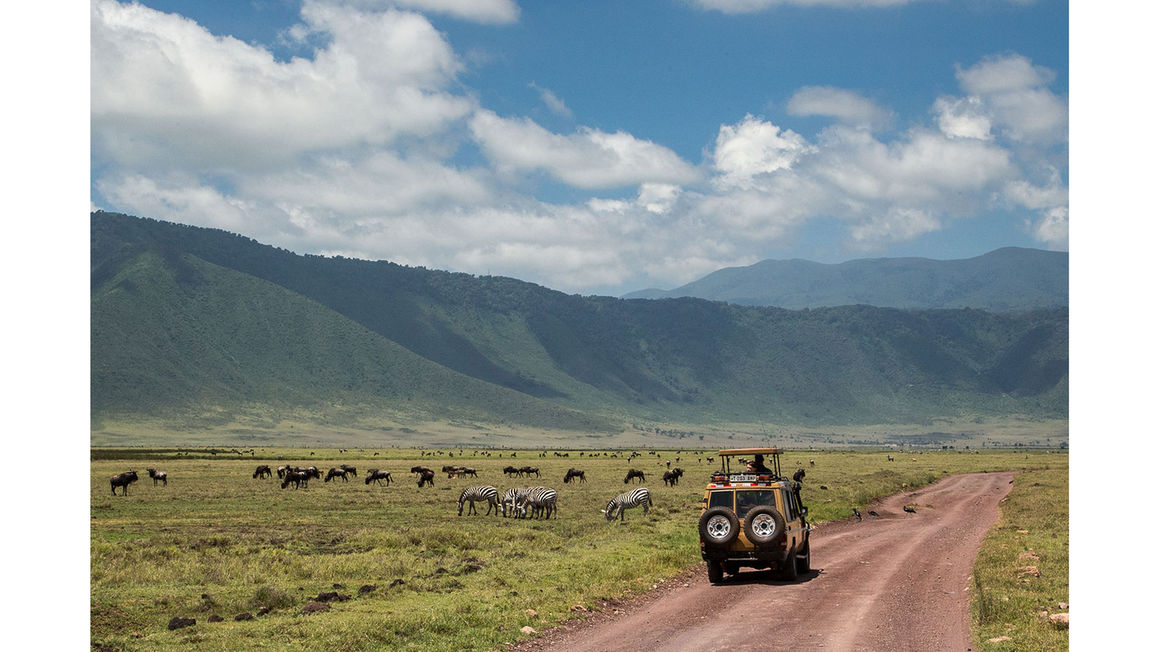 Ngorongoro