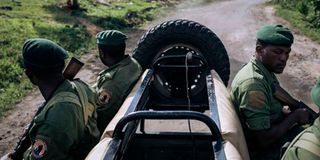 Guards patrol the Virunga National Park