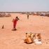 Droughts devastates Ethiopia