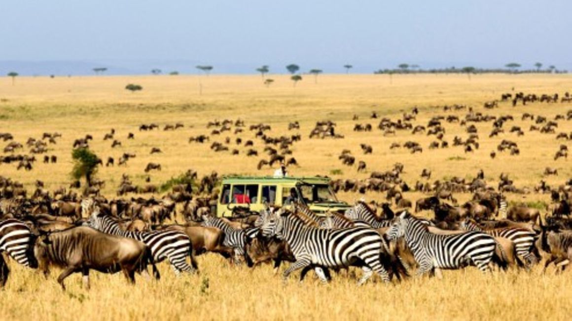 Serengeti pic