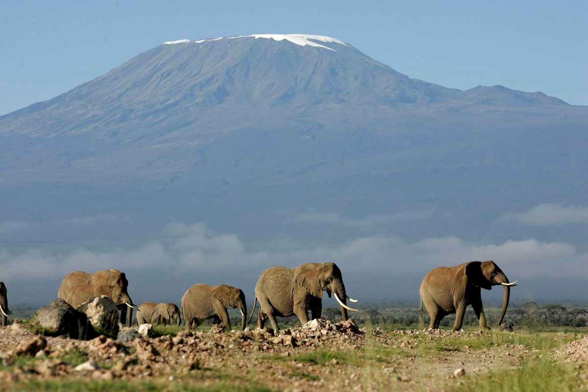 African Mountains Are Feeling The Heat Of Climate Change The Citizen   Glaciers 