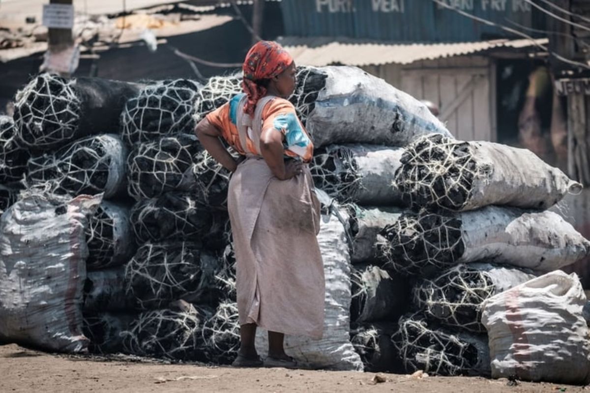 Tanzania seeks Sh600 billion to combat charcoal trade | The Citizen