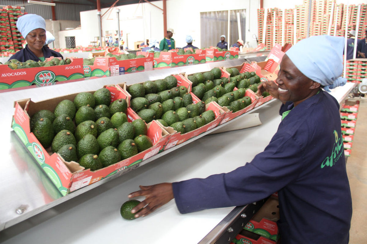 Tanzania to tap agri-business potential