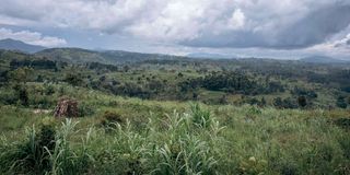 A view from an M23 military position