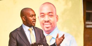 Nelson Chamisa