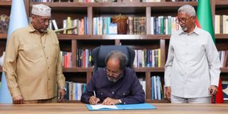 President Hassan Sheikh Mohamud 