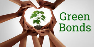 Green bonds pic