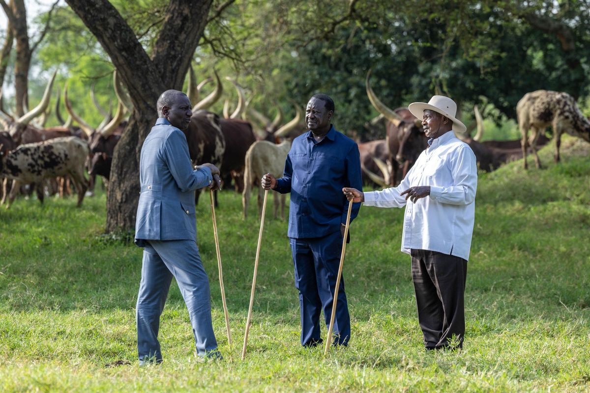 Presidents Ruto, Museveni Meet Over Raila Odinga's African Union Job ...