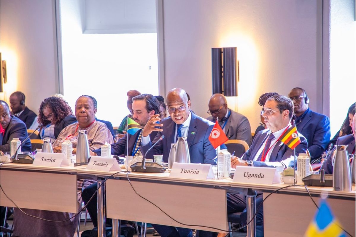 Minister Makamba urges Nordic countries to invest in African youth ...