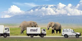 MSD