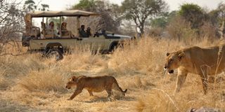 Ruaha pic