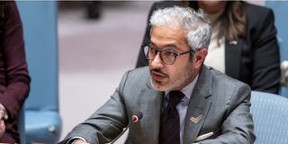 United Arab Emirates Ambassador to UN Mohamed Abushahab