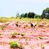 Land pic