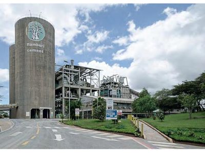 Amsons Group’s Sh475 billion bid for Kenyan cement firm set to sail through