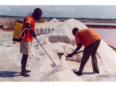 Tanzanian salt producers seek government support to boost production