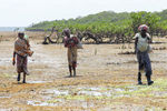 Seaweed farmers