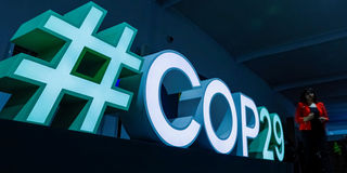 COP29 