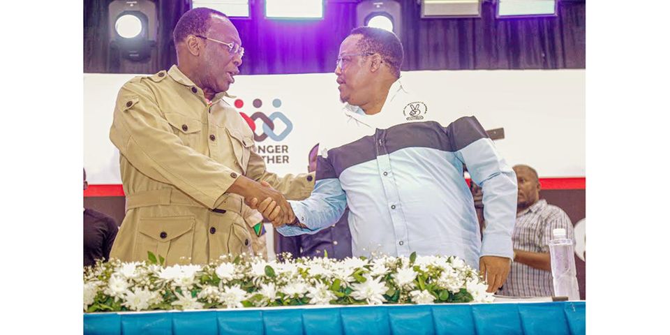 It’s D-day for Tanzania’s Chadema chairmanship battle | The Citizen