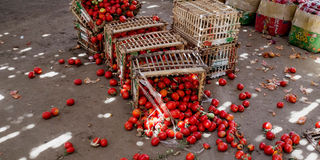 Post-harvest