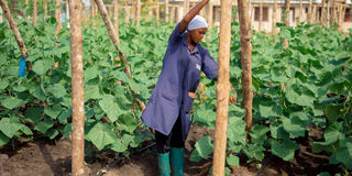 New Content Item (2)